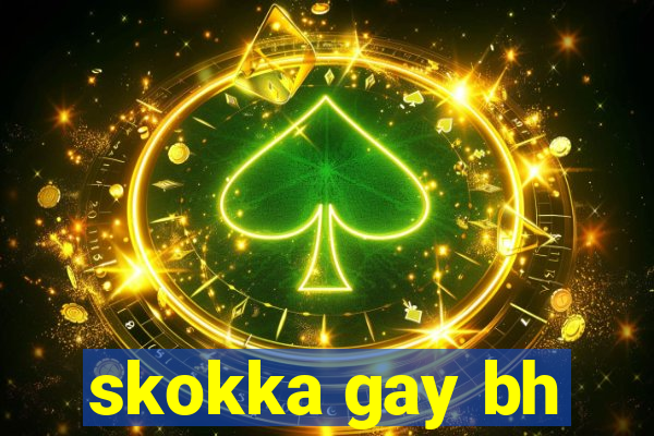 skokka gay bh